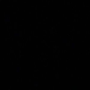 Meet your Posher, Kelli